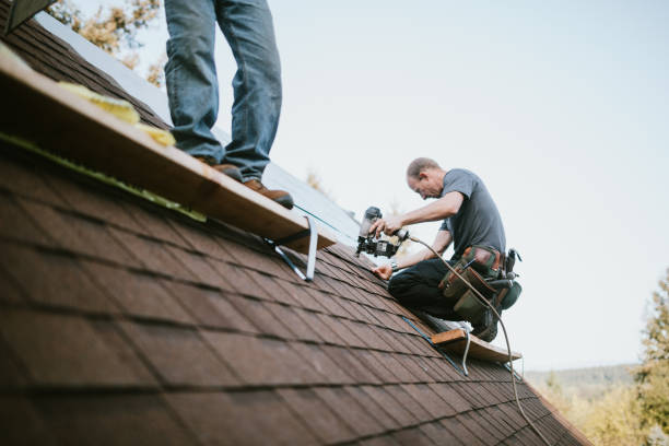 Best Roof Gutter Cleaning  in Moultrie, GA