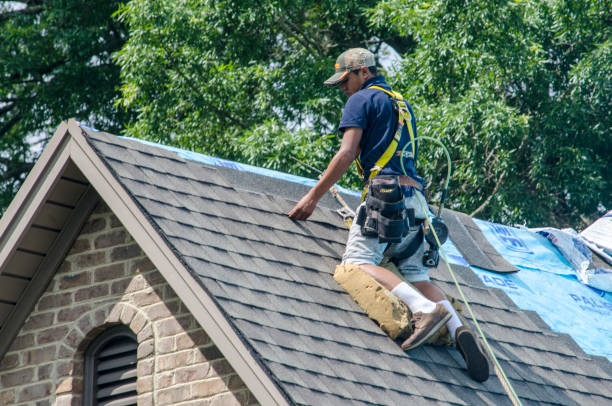 Best Roof Maintenance Services  in Moultrie, GA